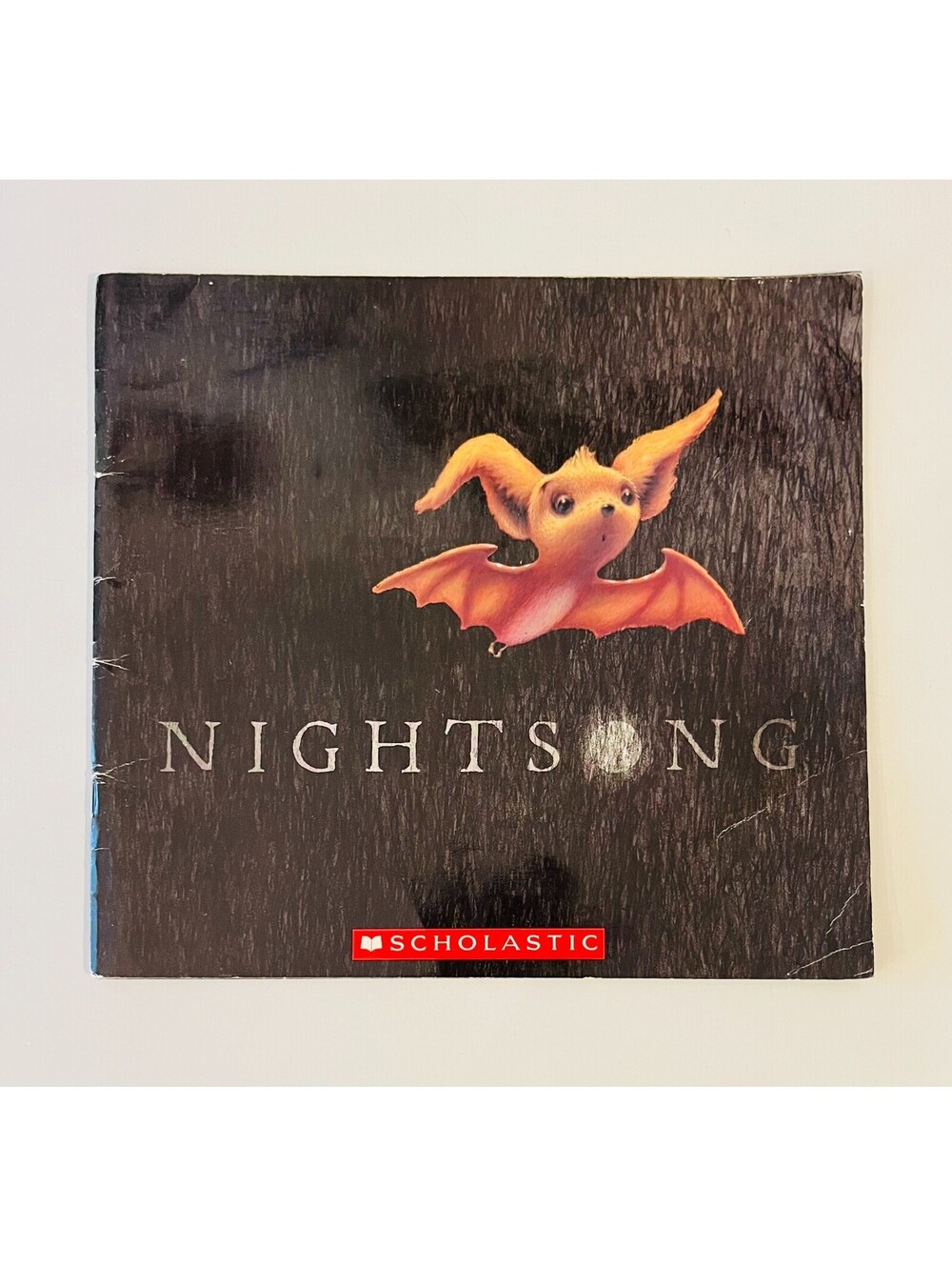 Nightsong Children's Book by Ari Berk